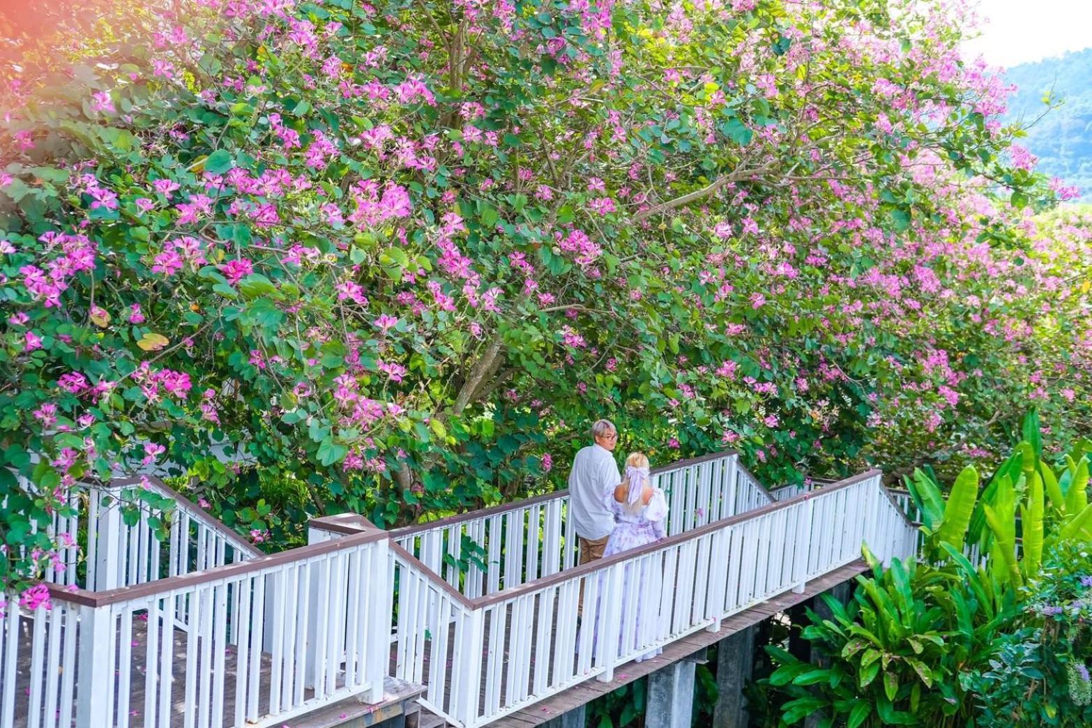 Vivace Khaoyai Hotel Mu Si Eksteriør billede